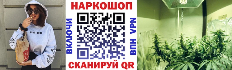 ГАШИШ Дно