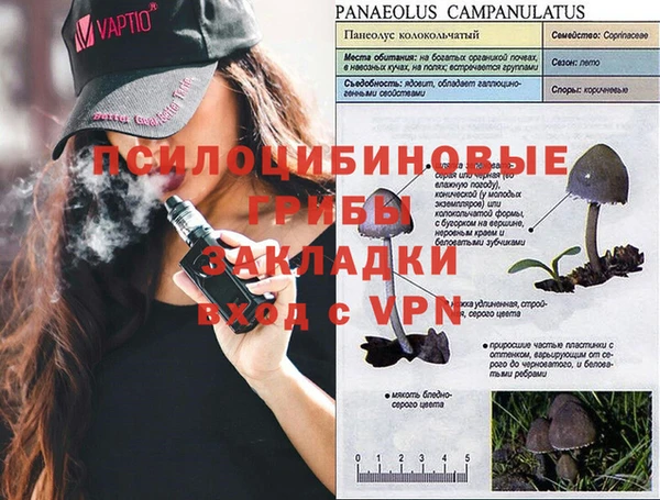 МДПВ Магадан