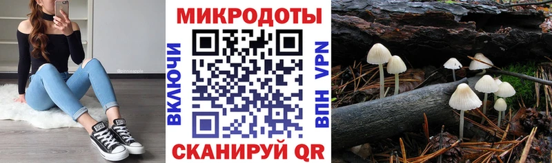 Псилоцибиновые грибы ЛСД  как найти   Дно 